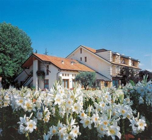 Ca' Delle Rose Hotel Castelfranco Veneto Kültér fotó